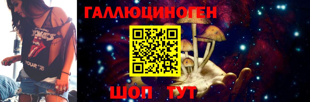 Пенза  где найти   Вход с VPN  Псилоцибиновые грибы Psilocybe 